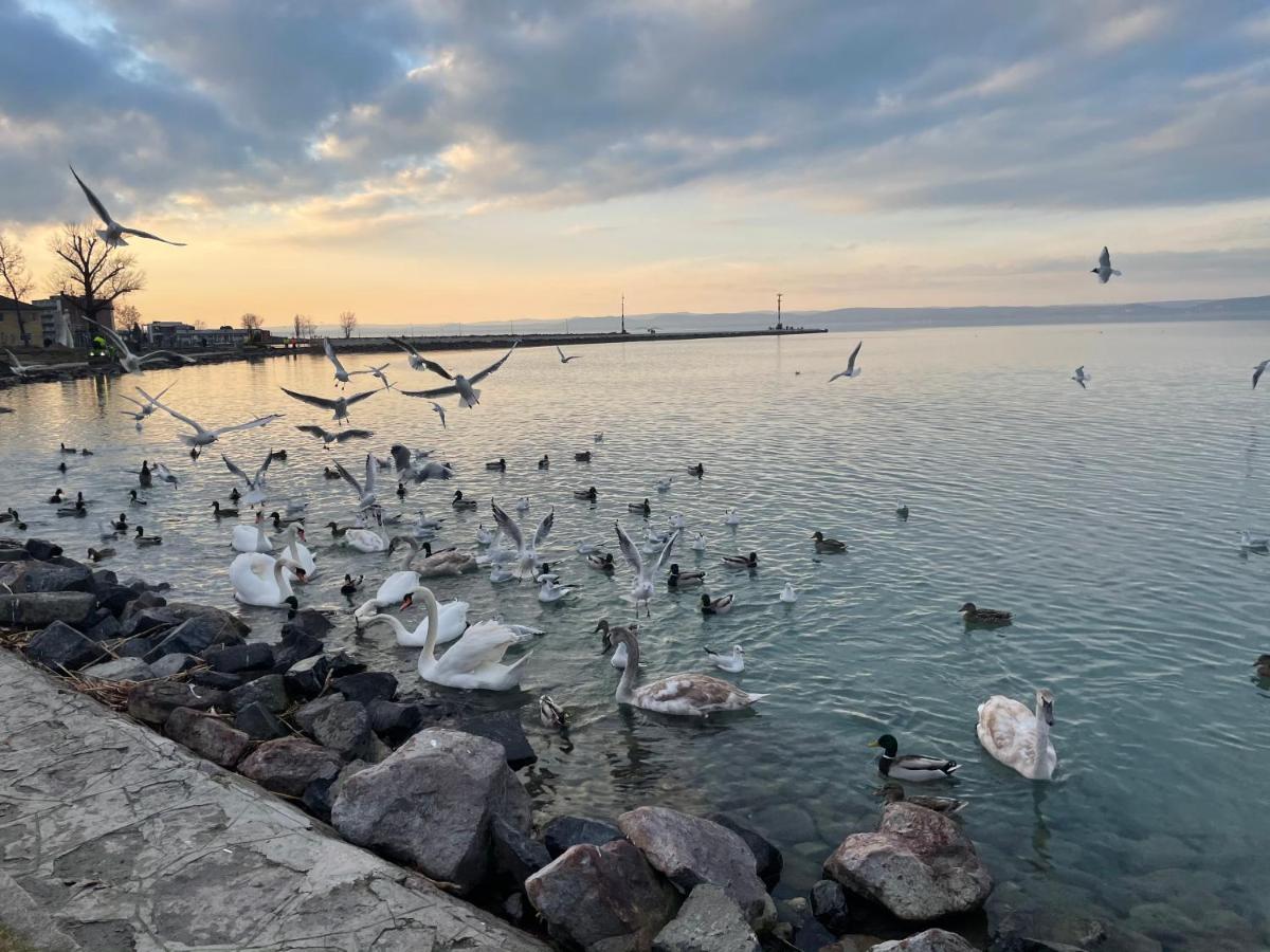 Dorina Wellness Siófok